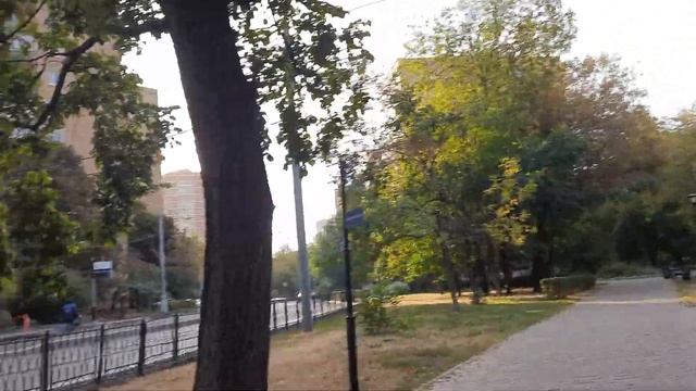 утро,пруд,рыбак.
