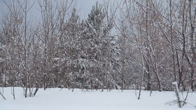 О проведении плановой проверки в Чернушинском районе