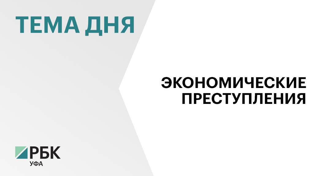 Свыше 2 тыс. экономических преступлений выявили сотрудники полиции в Башкортостане в 2024 г.