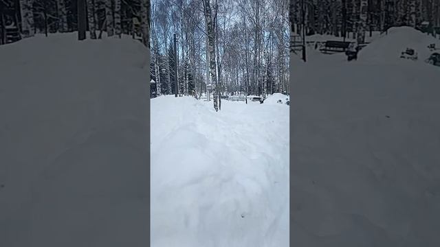 Гуляем в парке! 20.02