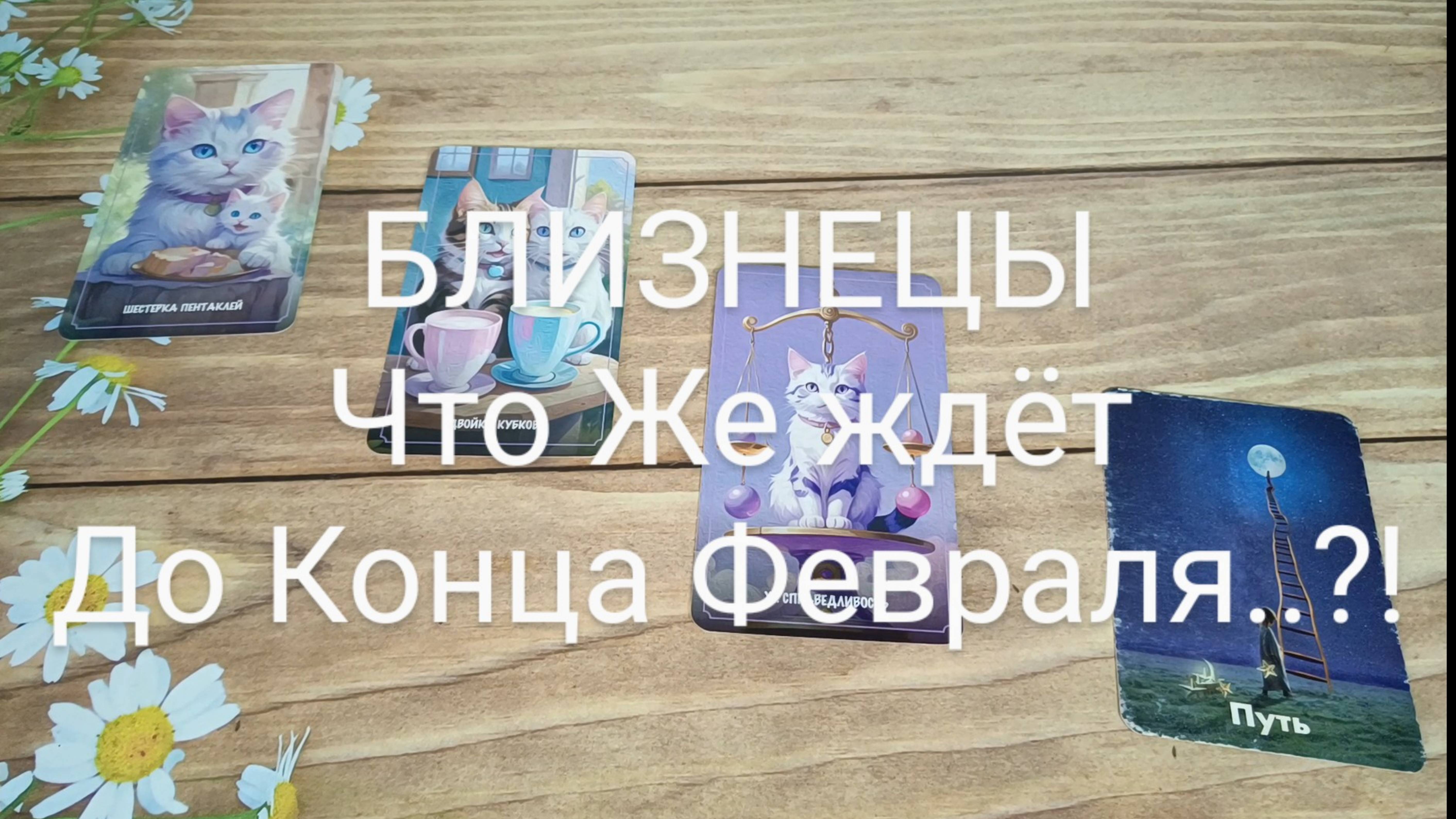#БЛИЗНЕЦЫ ЧТО ЖЕ ЖДЁТ ДО КОНЦА ФЕВРАЛЯ..?!💕🥰❤️#ГаданиеНаБудущее #ТароГадание