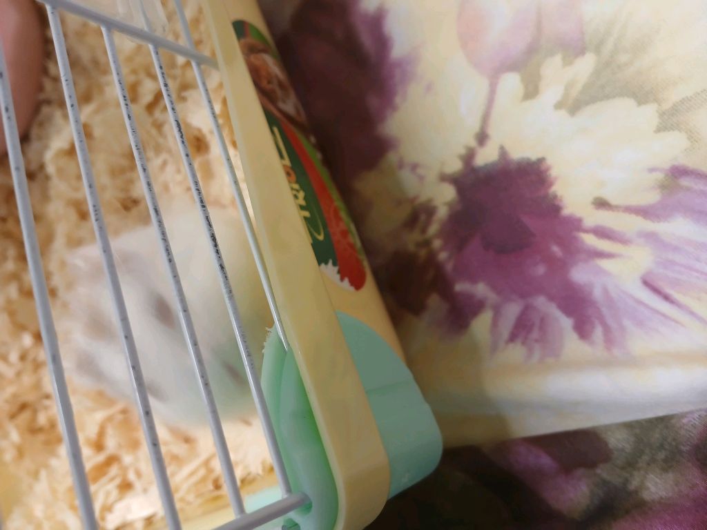 сигма бой ой.. приходи заходи 🥑😅