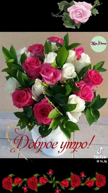 VID-20250220-WA0001