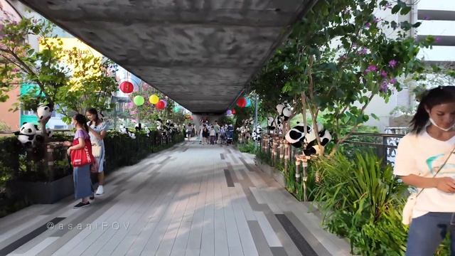 Панда Пати -  ПЕШЕХОДНЫЙ ТУР｜ Бангкок, Таиланд