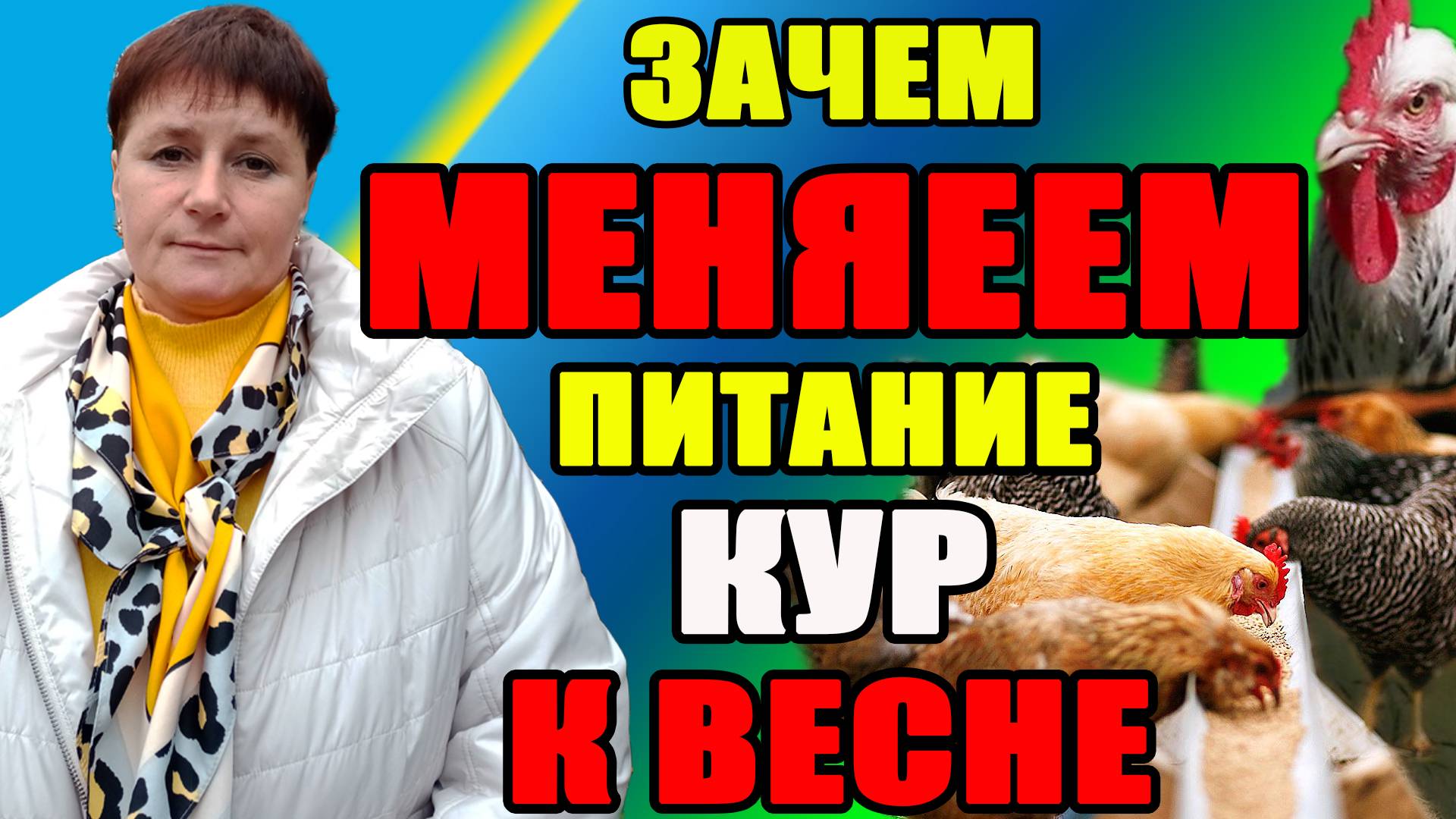 Зачем МЕНЯЕМ рацион питания у кур. Подготовка к весеннему сезону.