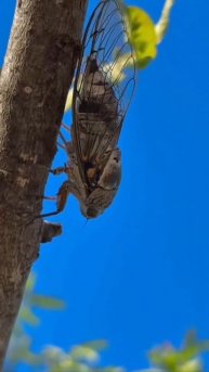 Скоро прилечу на всю Россию