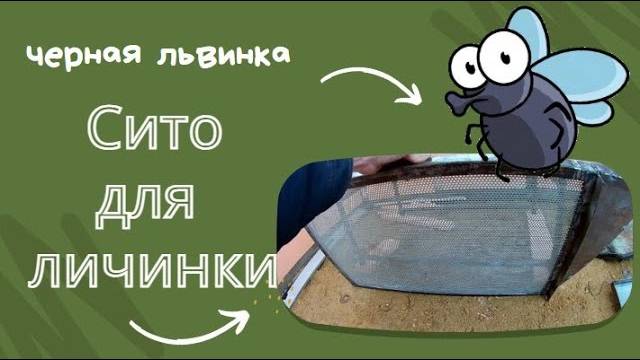 Вибросито для личинки львинки. Своими руками. (3)