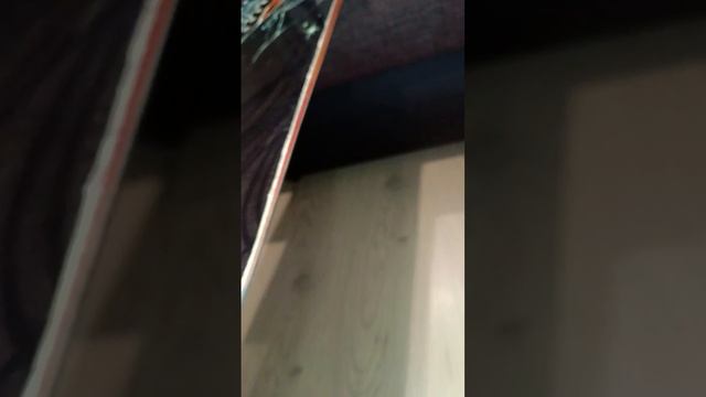Сноуборд Lib Tech TRS.mp4