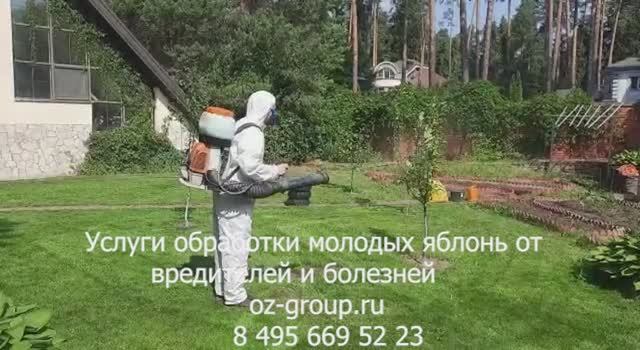 Услуги обработки молодых яблонь от вредителей и болезней. Выезд Агрономов по Москве и области.