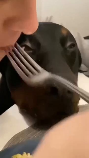 ахахах