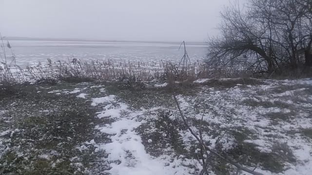 VID_20250219_144411