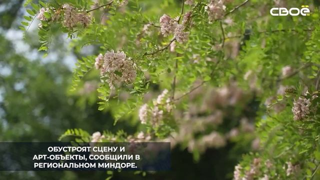 В Арзгире в этом году благоустроят парковую зону центральной части села