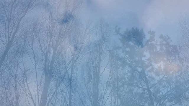 Момент полёта. Стихи и видеомонтаж мои. Музыка Игоря Стравинского