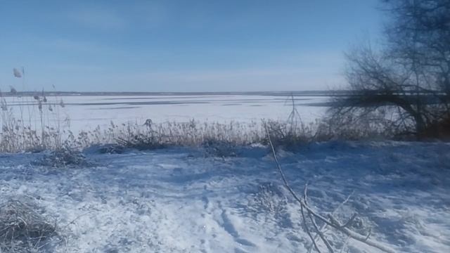 VID_20250220_095826