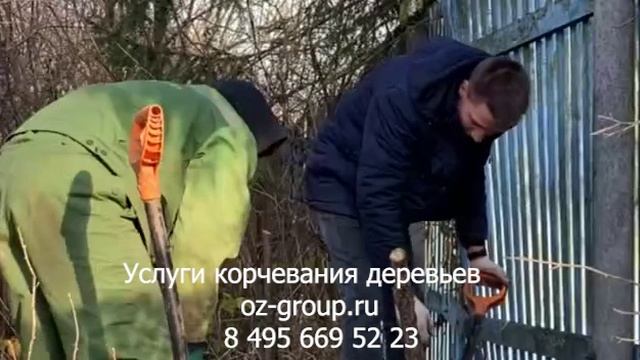 Услуги корчевания деревьев на дачном участке. Выезд Агрономов по Москве и области. Звоните сейчас!