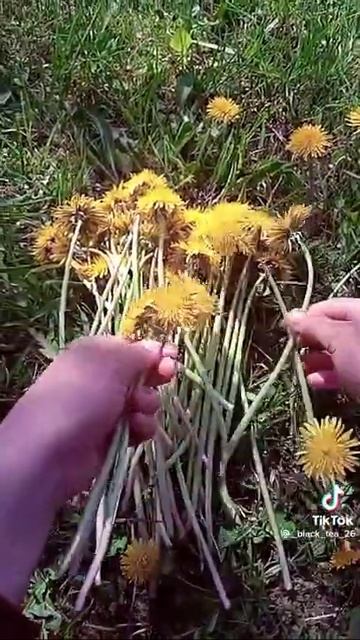 26 июня 2022 г.