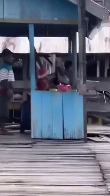 Хитрая ловушка крокодила