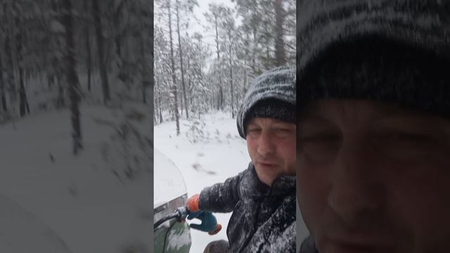 Покатушки на снегоходе по тайге