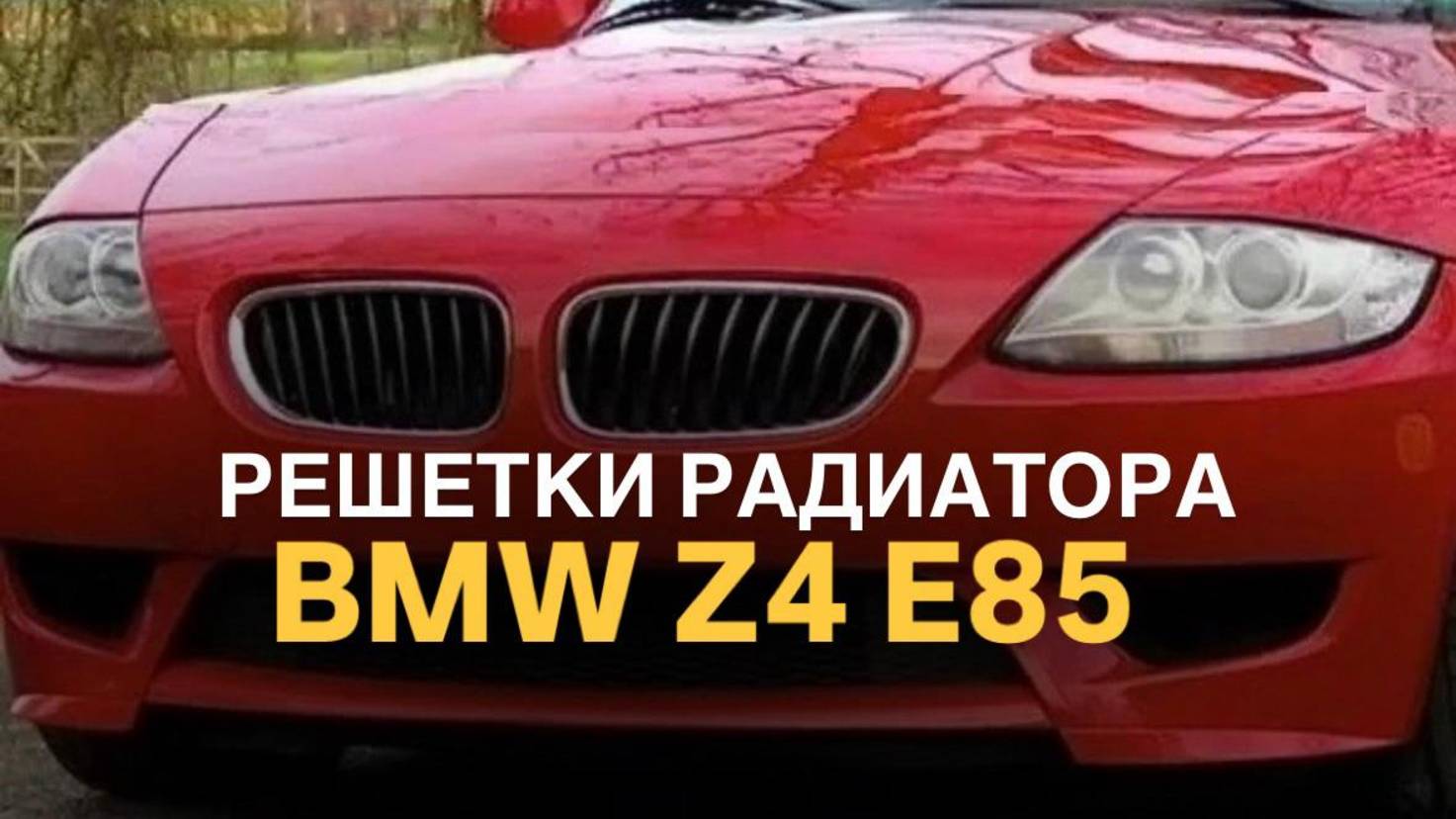 Решетки радиатора BMW Z4 E85 M-Performance