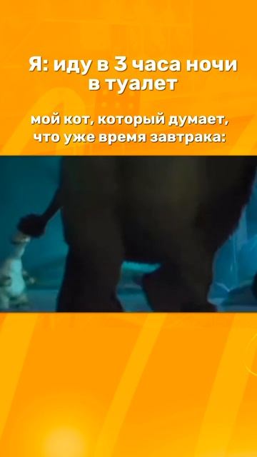 Отправь своему кошатнику 🧡🤣
