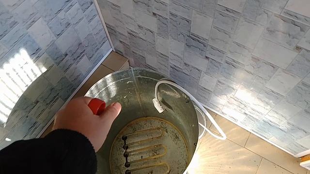 20 февраля, покупать или не покупать шпарчан, гуси, куры