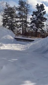 Верный друг и напарник водителя.