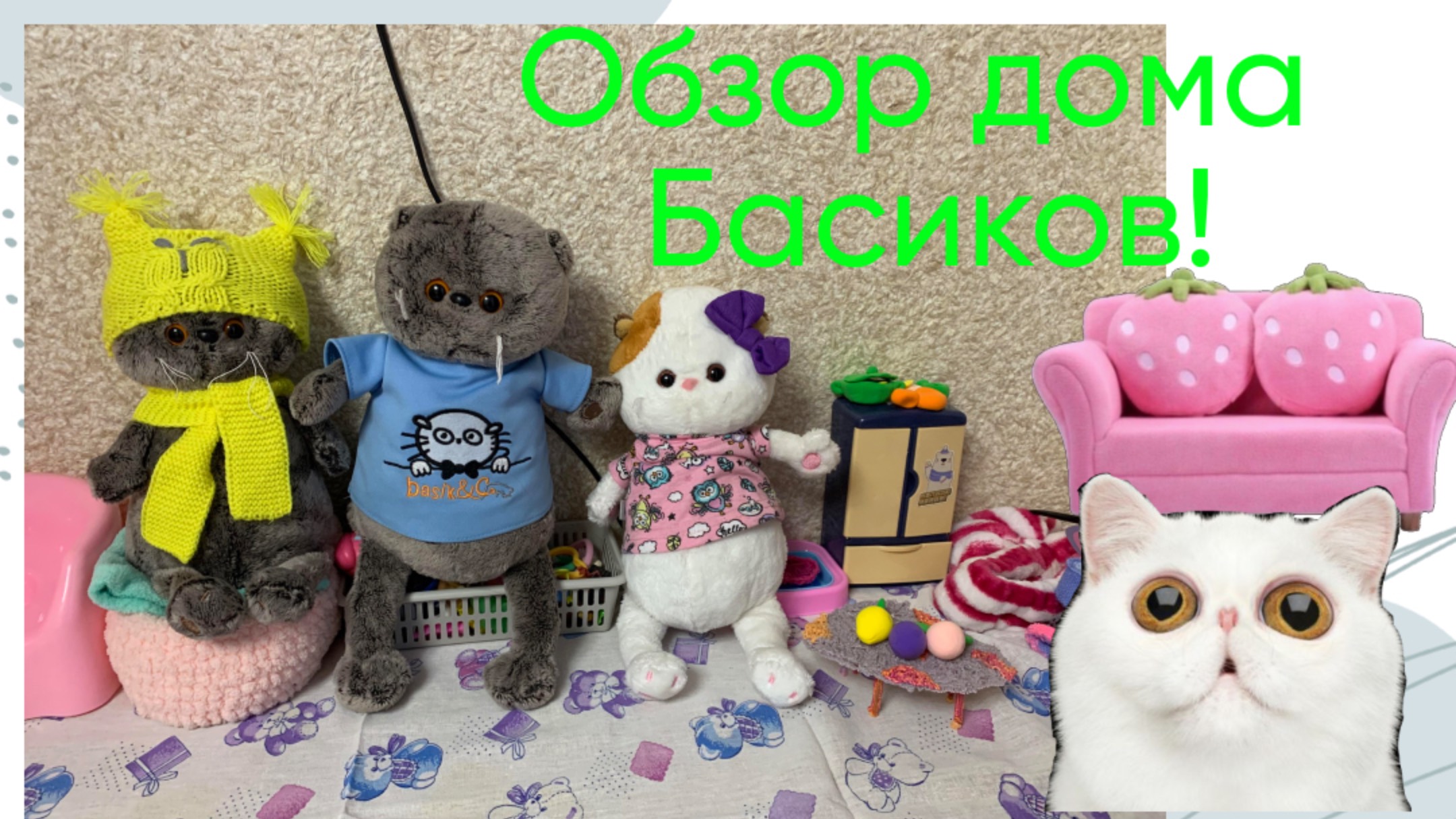 Обзор дома Басиков