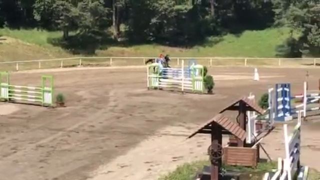 Grand Italia 5 yo by Clever Aremac x Acobat