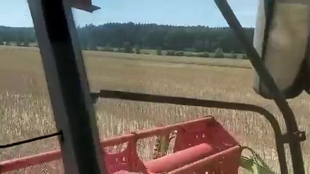 Mit Claas Lexion 670TT und 9.30m   Vario Schneidwerk am Raps Dreschen