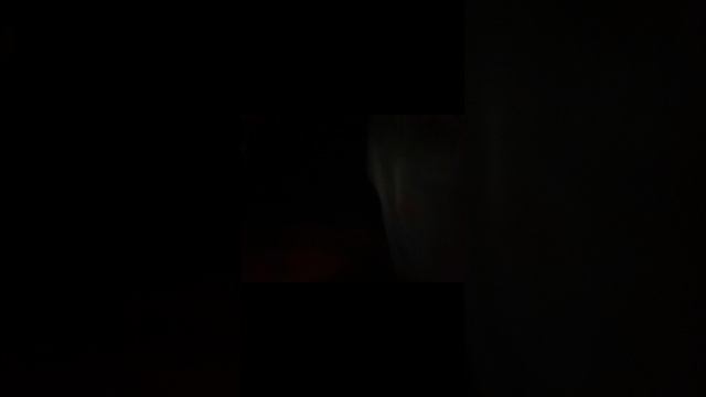 Video 20250220-01.mp4