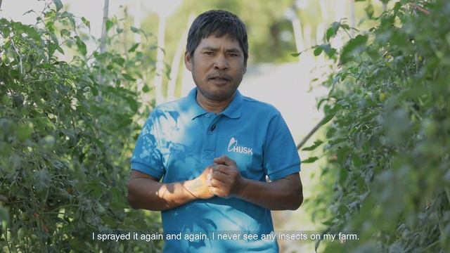 TOEK Biochar: Safe Insect Repellent from seed to harvest