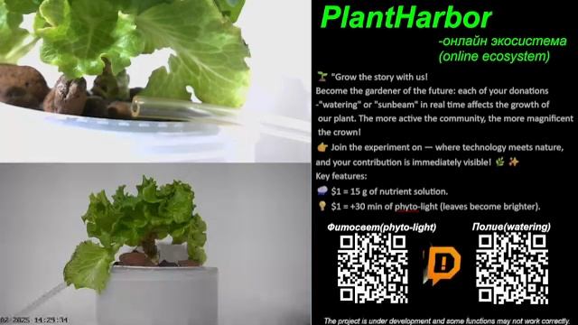 PlantHarbor-автоматизированная он-лайн экоплатформа