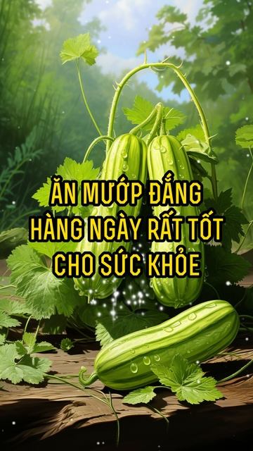 3 Người Cấm Kỵ Ăn Mướp Đắng - Nguy Cơ Rước Hoạ Vào Thân | Tâm sự cuộc sống