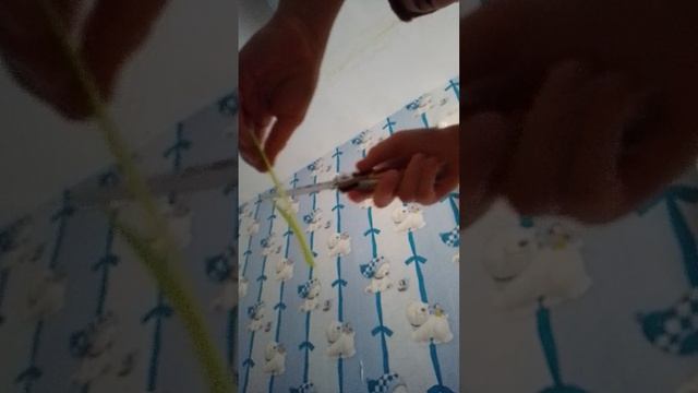 обзор на мой выкидной нож