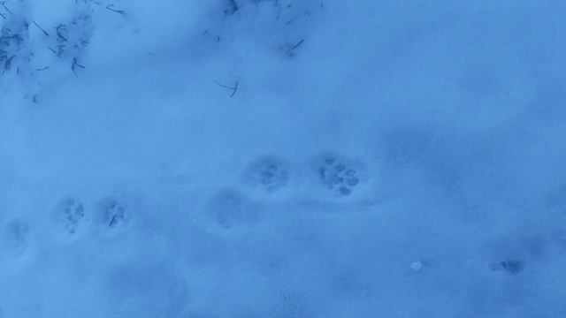 VID_20250220_100435