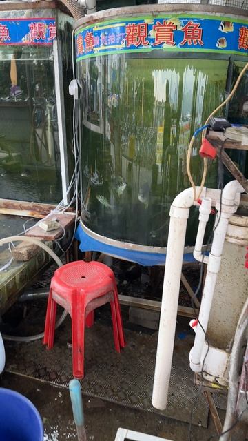 Рыбный рынок на одном из островов в Китае