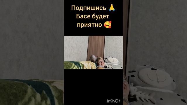 Басина любовь не знает границ ❤️🥰#котики #веселыеживотные #питомцы #cat #бася #shortvideo