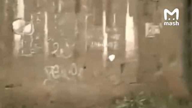 Половина Владивостока без света
