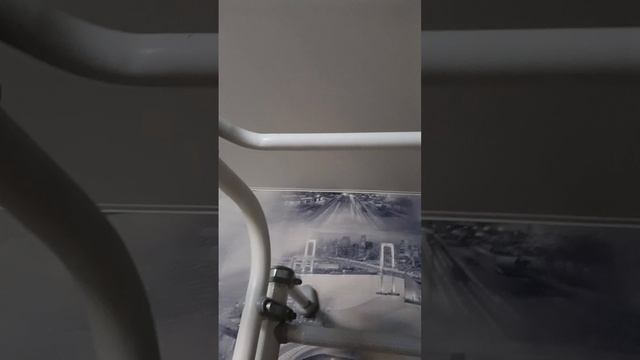 1000168511.mp4