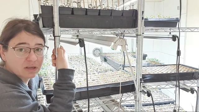 Tomato Varieties For The 2021 Seedling Sale | Seedling Tour