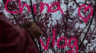 CHINA VLOG! My Everyday Life in Beautiful China