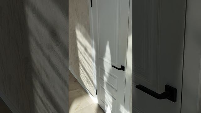 VID_20250219_144055