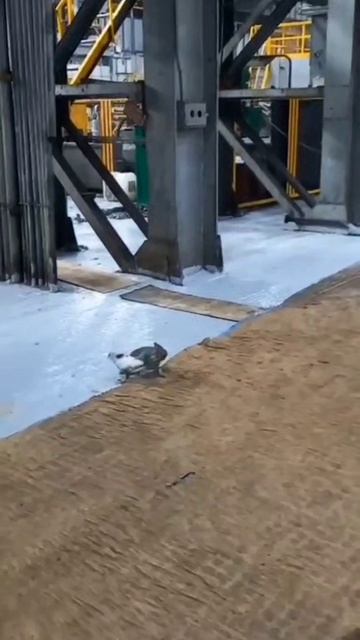 1000074318.mp4