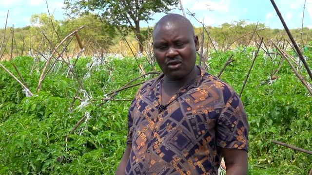 Ũkuria wa Nyanya Thuthurie ya Ansal F1 : Part 2.