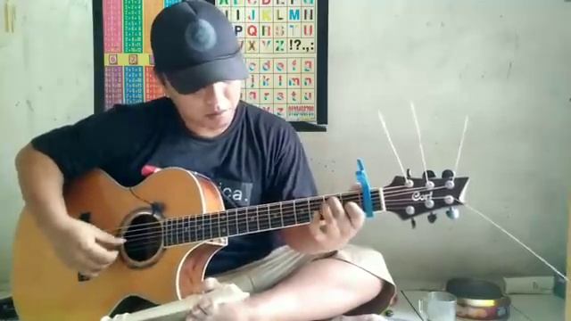 My Heart Will Go On - Селин Дион (кавер в стиле фингерстайл)
