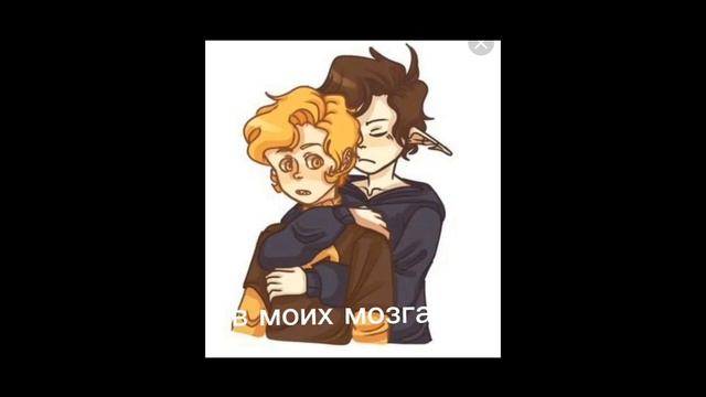 зборник видео по шипу не феликс/не гэб