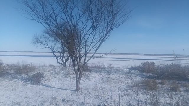 VID_20250220_101339