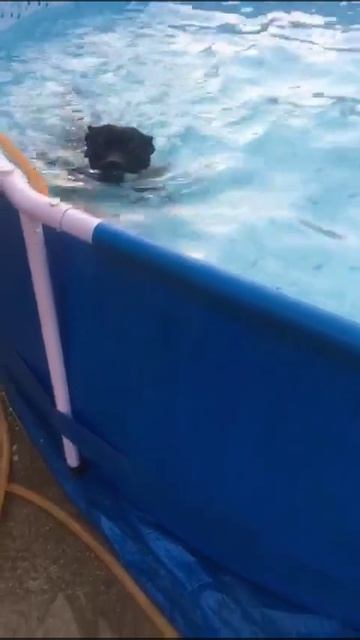 Вэл мореплаватель 🐝🐝🐝