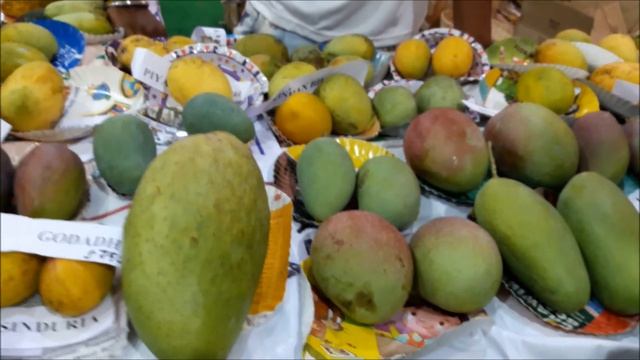 Biggest Mango in Kolkata Mango Festival