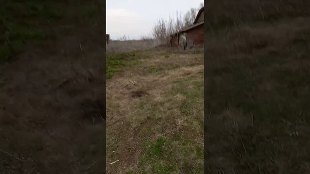 день третий в деревне,отдохнули с семьёй и чуть навели порядок